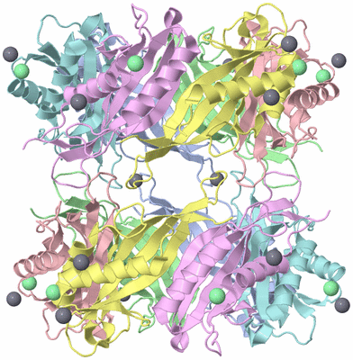 Image Biological Unit 2