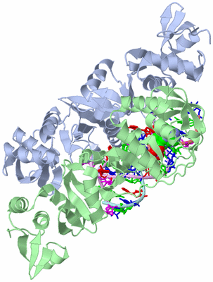 Image Biological Unit 1