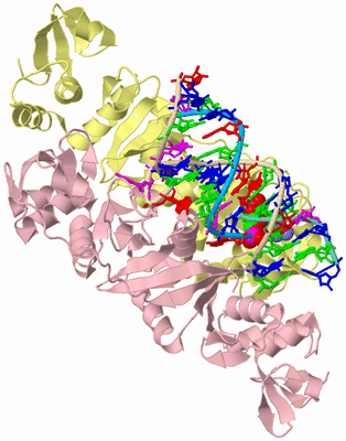 Image Biological Unit 2