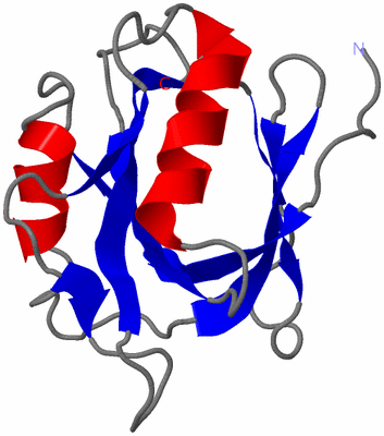 Image NMR Structure - model 1