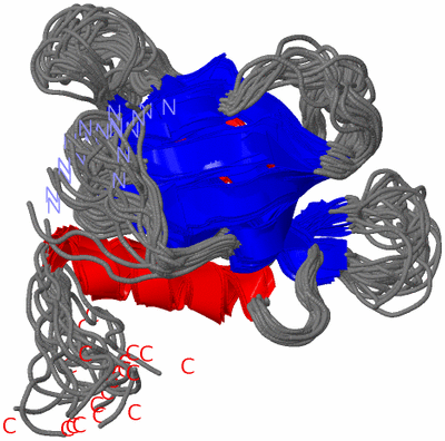 Image NMR Structure - all models