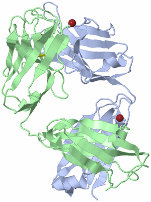 Image Biological Unit 2