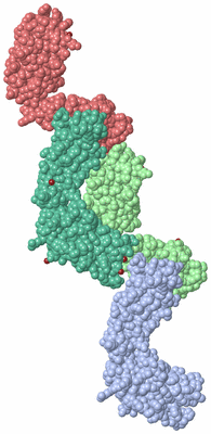 Image Biological Unit 4