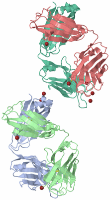 Image Biological Unit 5