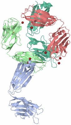 Image Biological Unit 7