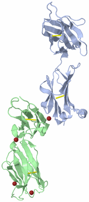 Image Biological Unit 9