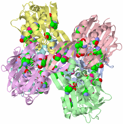 Image Asym./Biol. Unit