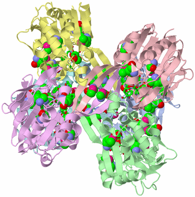 Image Asym./Biol. Unit - sites