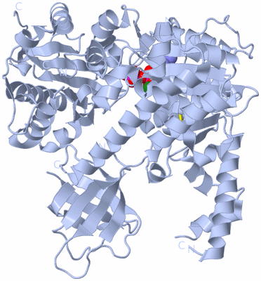 Image Biological Unit 1