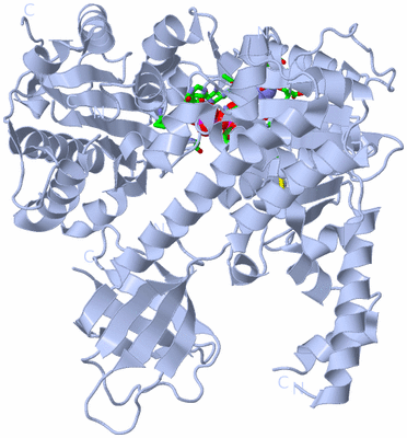 Image Biol. Unit 1 - sites