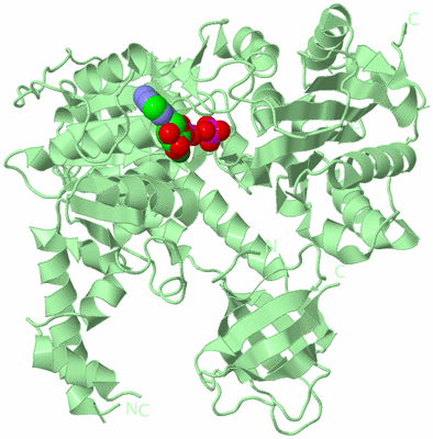 Image Biological Unit 2