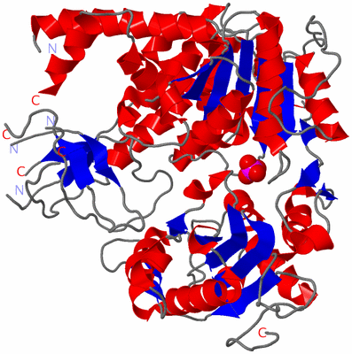 Image Asym./Biol. Unit