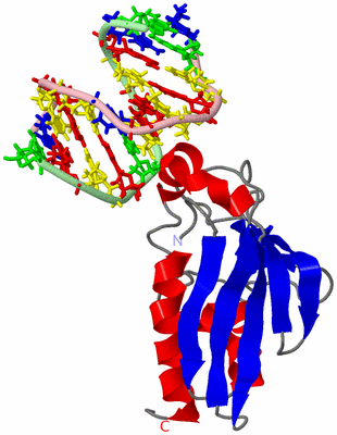 Image NMR Structure - model 1