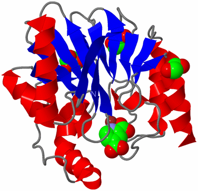 Image Asym./Biol. Unit