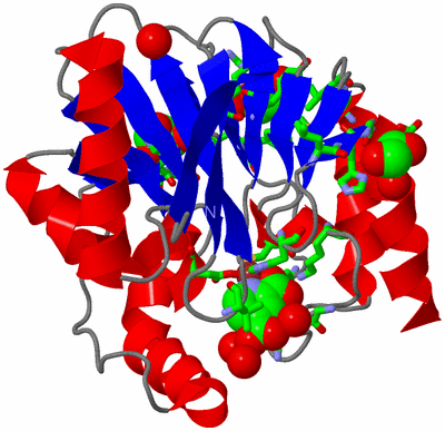 Image Asym./Biol. Unit - sites