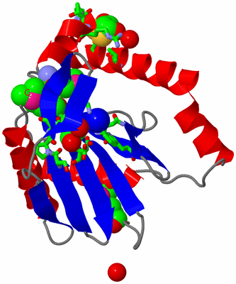 Image Asym./Biol. Unit - sites