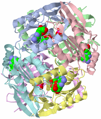 Image Asym./Biol. Unit