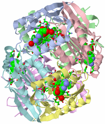 Image Asym./Biol. Unit - sites