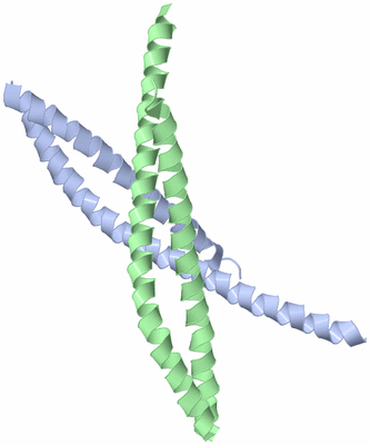 Image Asymmetric Unit