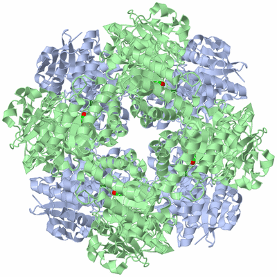 Image Biological Unit 1