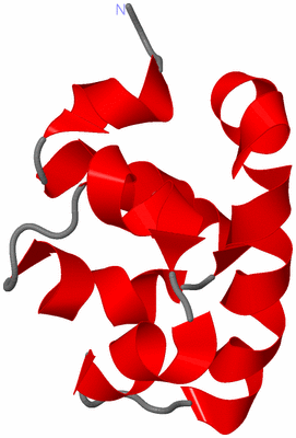 Image NMR Structure - model 1