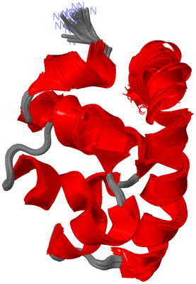 Image NMR Structure - all models