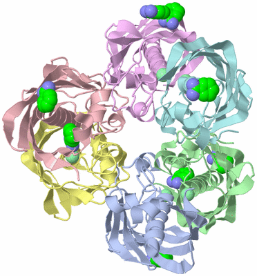 Image Asym./Biol. Unit