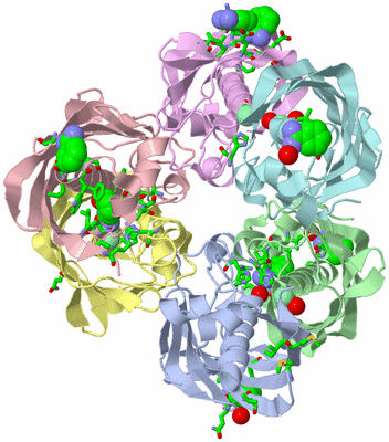 Image Asym./Biol. Unit - sites