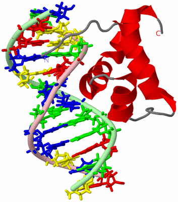 Image NMR Structure - model 1