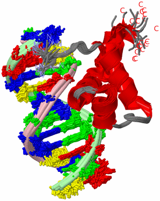 Image NMR Structure - all models