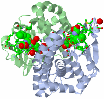 Image Asym./Biol. Unit - sites