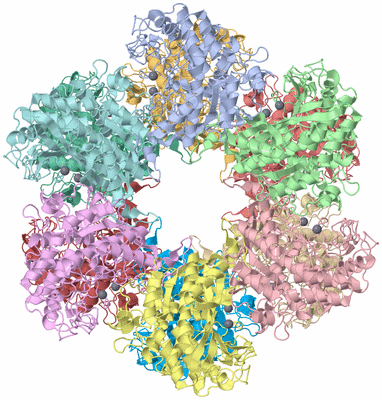 Image Asym./Biol. Unit
