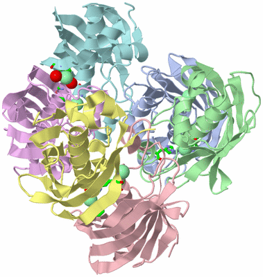 Image Biol. Unit 1 - sites