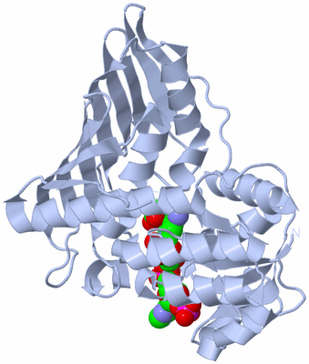 Image Biological Unit 1