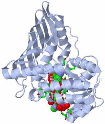 Image Biol. Unit 1 - sites