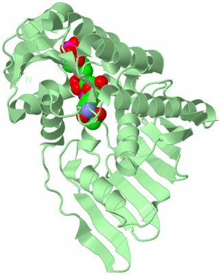 Image Biological Unit 2