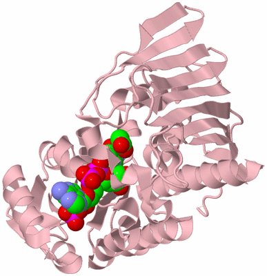 Image Biological Unit 3