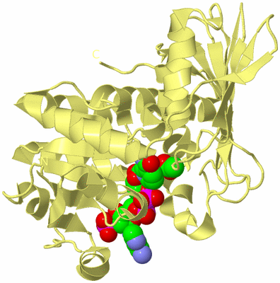 Image Biological Unit 4