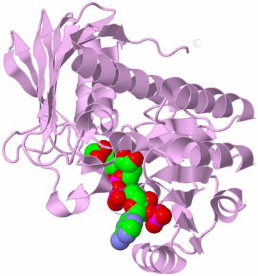 Image Biological Unit 5