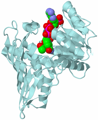 Image Biological Unit 6