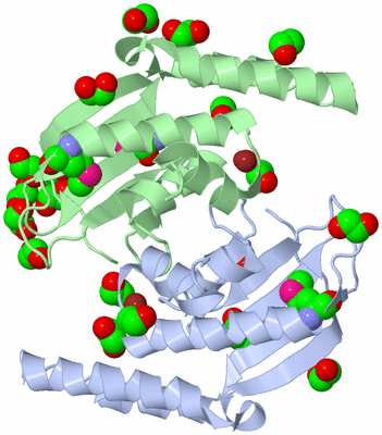 Image Asym./Biol. Unit