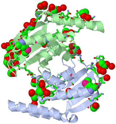 Image Asym./Biol. Unit - sites