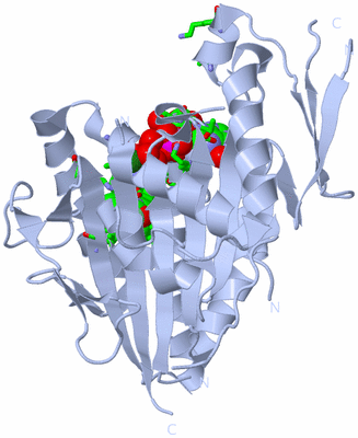 Image Biol. Unit 1 - sites