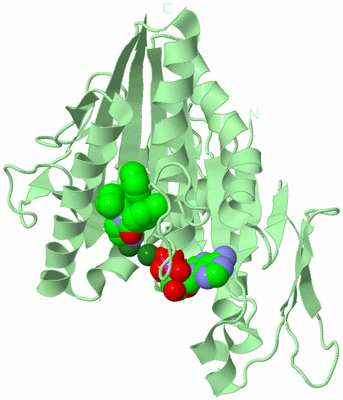 Image Biological Unit 2