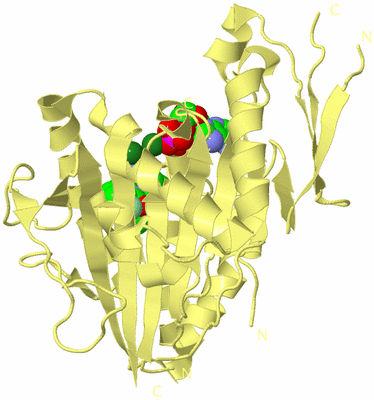 Image Biological Unit 3