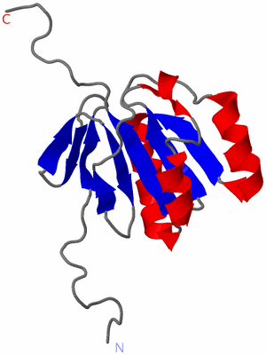 Image NMR Structure - model 1