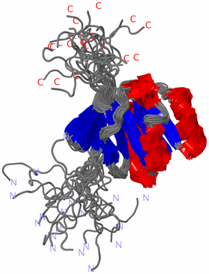 Image NMR Structure - all models