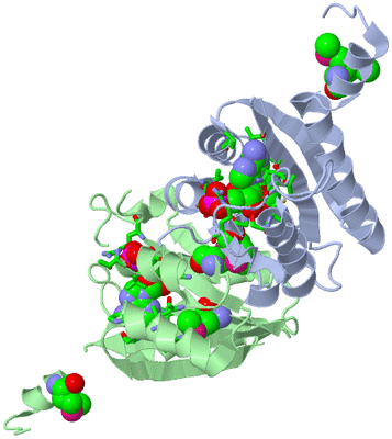 Image Biol. Unit 1 - sites