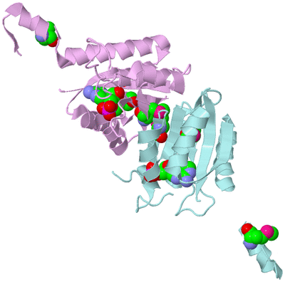 Image Biological Unit 3