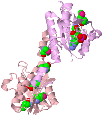 Image Biological Unit 4